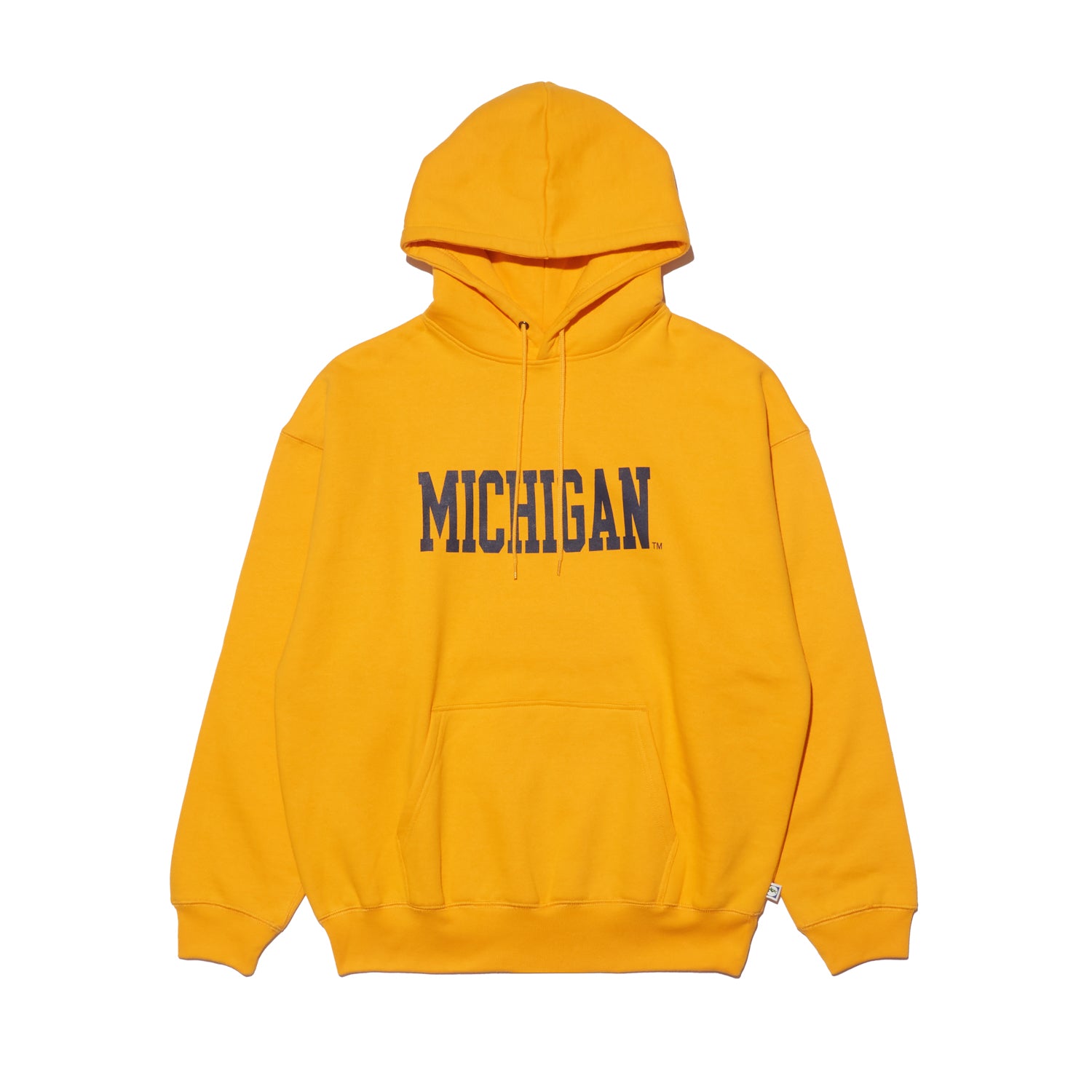 MICHIGAN Hoodie